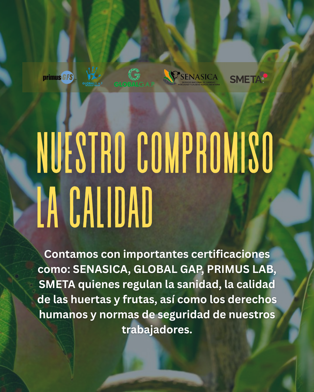 Instalaciones de Proeba Pack